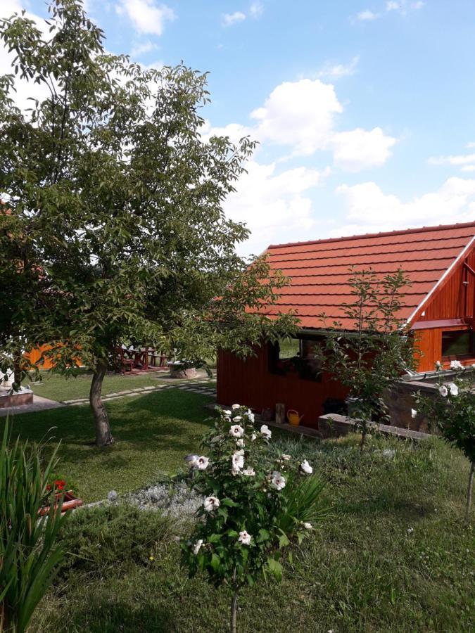 Matyas Apartman Tard Екстер'єр фото