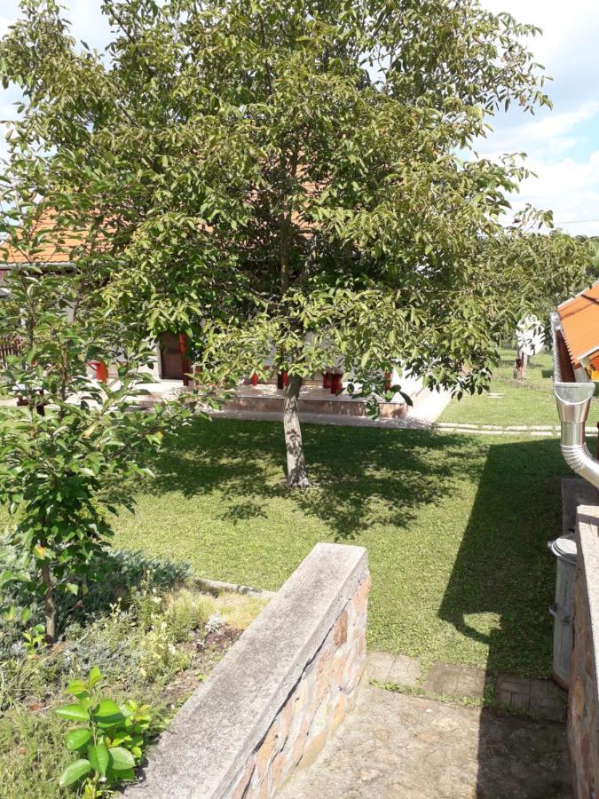 Matyas Apartman Tard Екстер'єр фото
